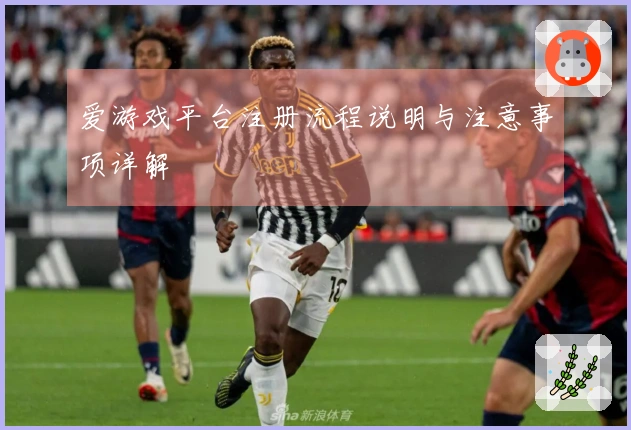 爱游戏平台注册流程说明与注意事项详解