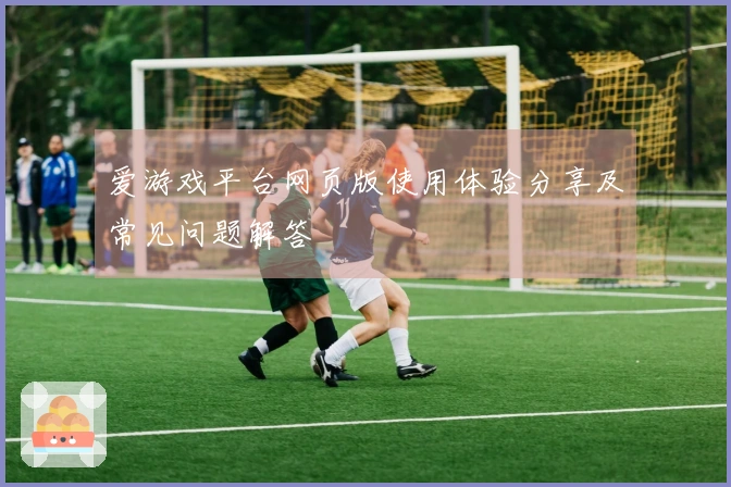 爱游戏平台网页版使用体验分享及常见问题解答